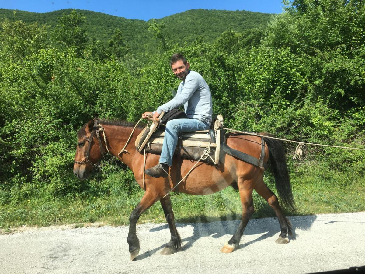 Katikia Zagori Ξενοδοχείο Βίτσα Εξωτερικό φωτογραφία