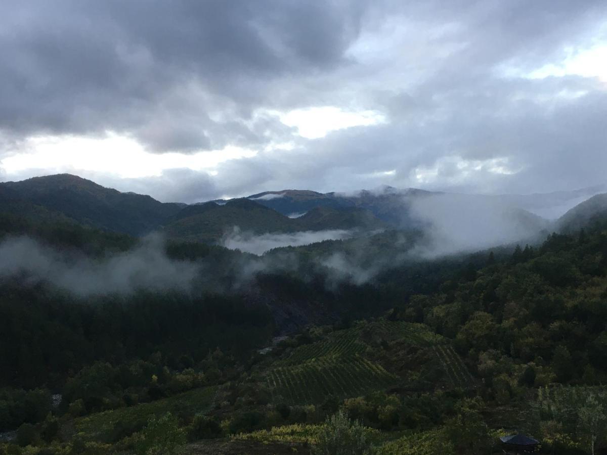 Katikia Zagori Ξενοδοχείο Βίτσα Εξωτερικό φωτογραφία