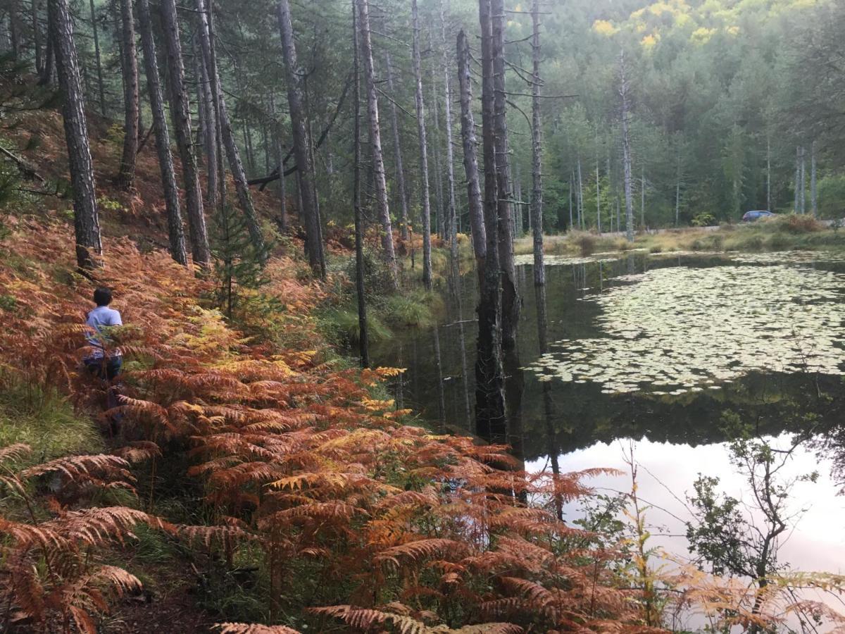 Katikia Zagori Ξενοδοχείο Βίτσα Εξωτερικό φωτογραφία