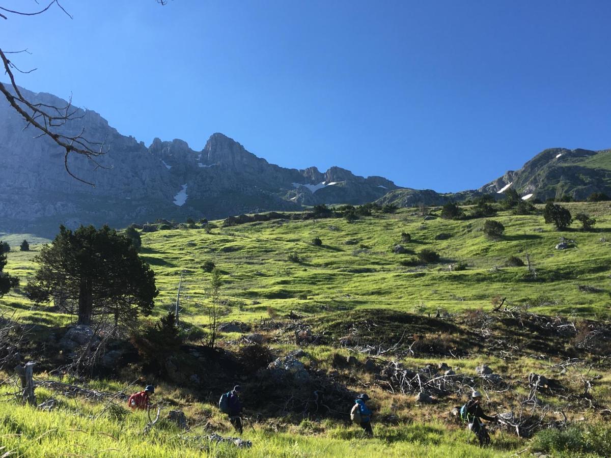 Katikia Zagori Ξενοδοχείο Βίτσα Εξωτερικό φωτογραφία