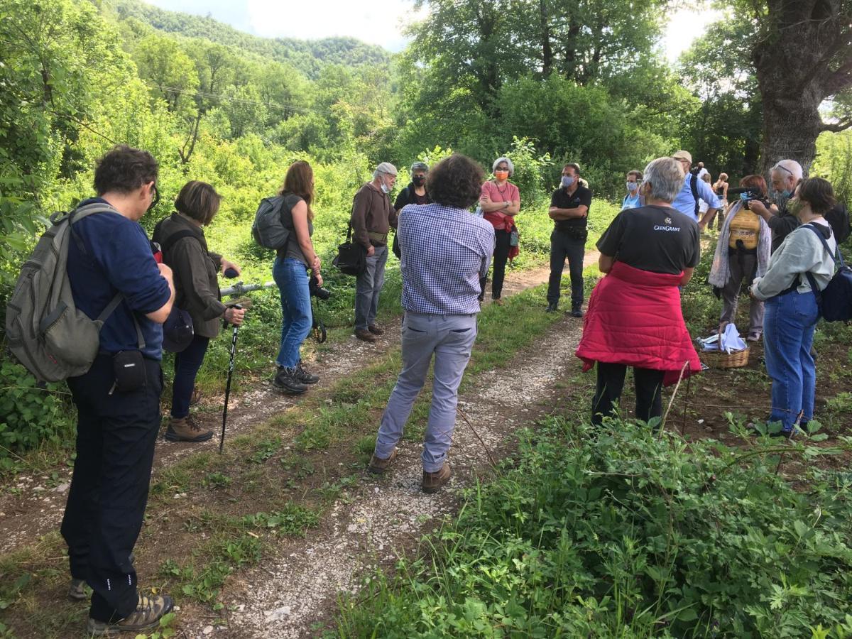 Katikia Zagori Ξενοδοχείο Βίτσα Εξωτερικό φωτογραφία