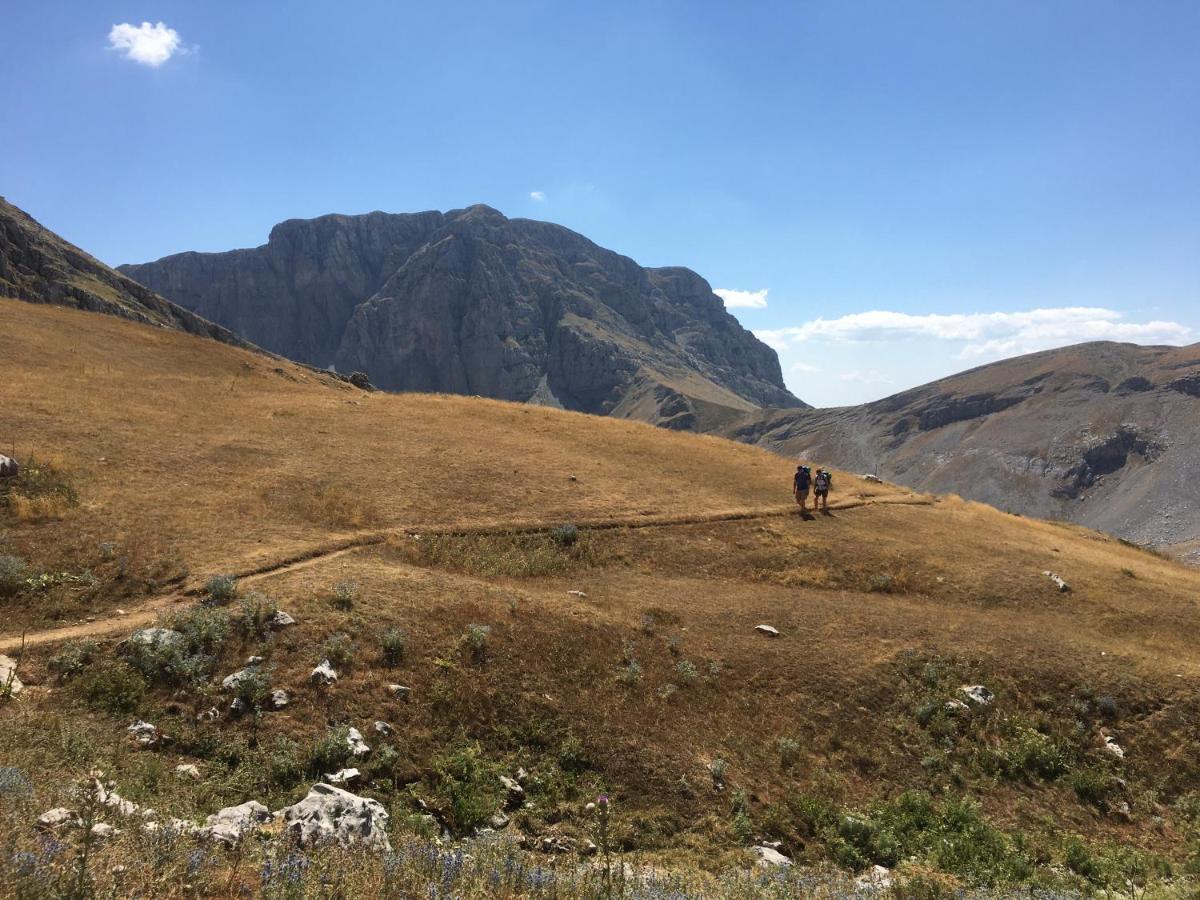 Katikia Zagori Ξενοδοχείο Βίτσα Εξωτερικό φωτογραφία