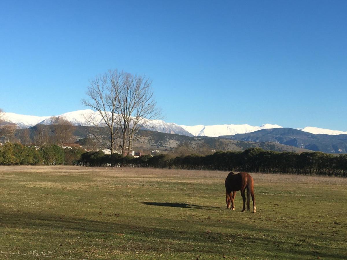 Katikia Zagori Ξενοδοχείο Βίτσα Εξωτερικό φωτογραφία