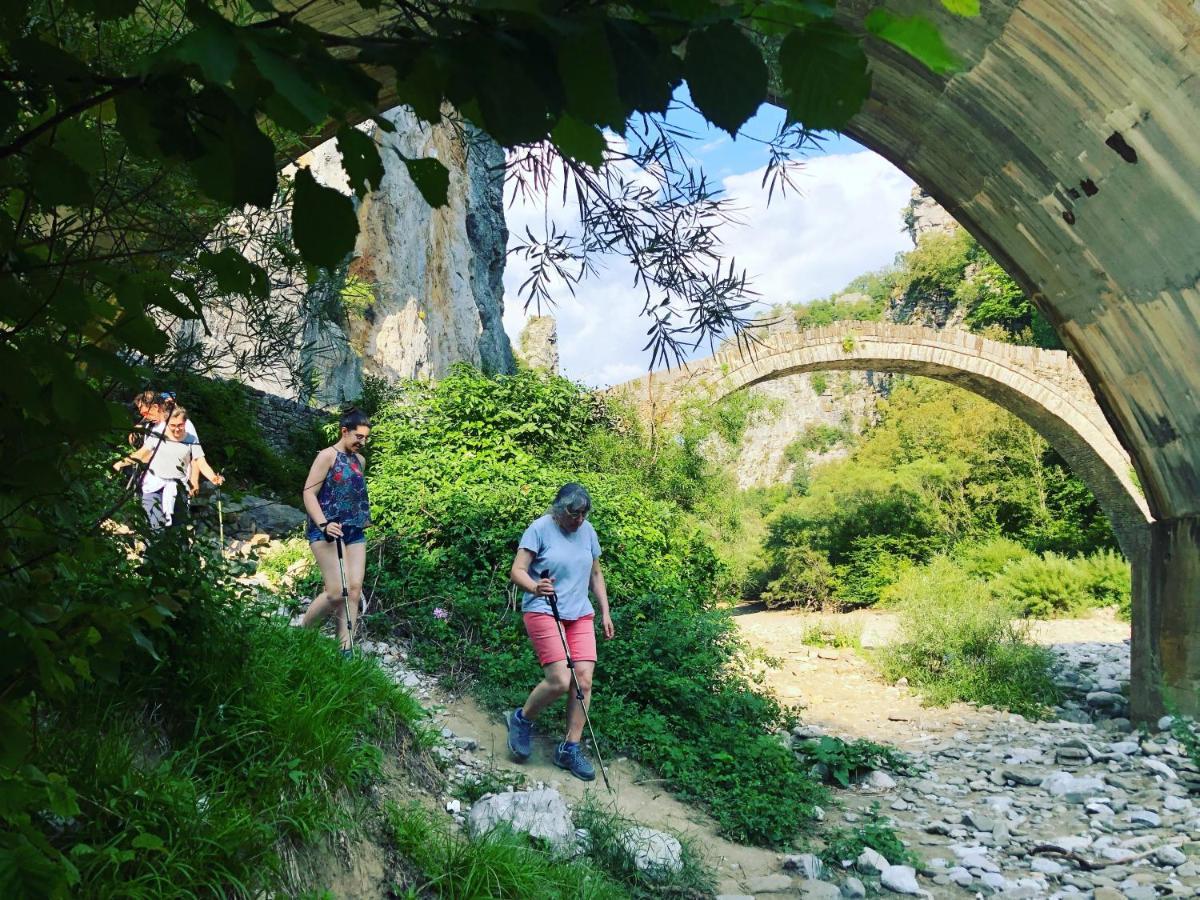 Katikia Zagori Ξενοδοχείο Βίτσα Εξωτερικό φωτογραφία